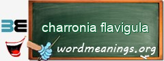 WordMeaning blackboard for charronia flavigula